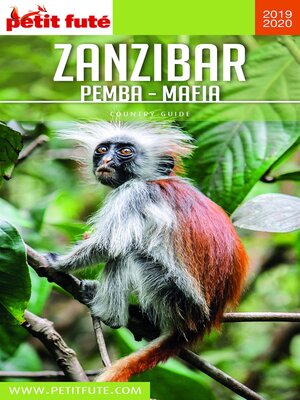 cover image of ZANZIBAR 2019/2020 Petit Futé